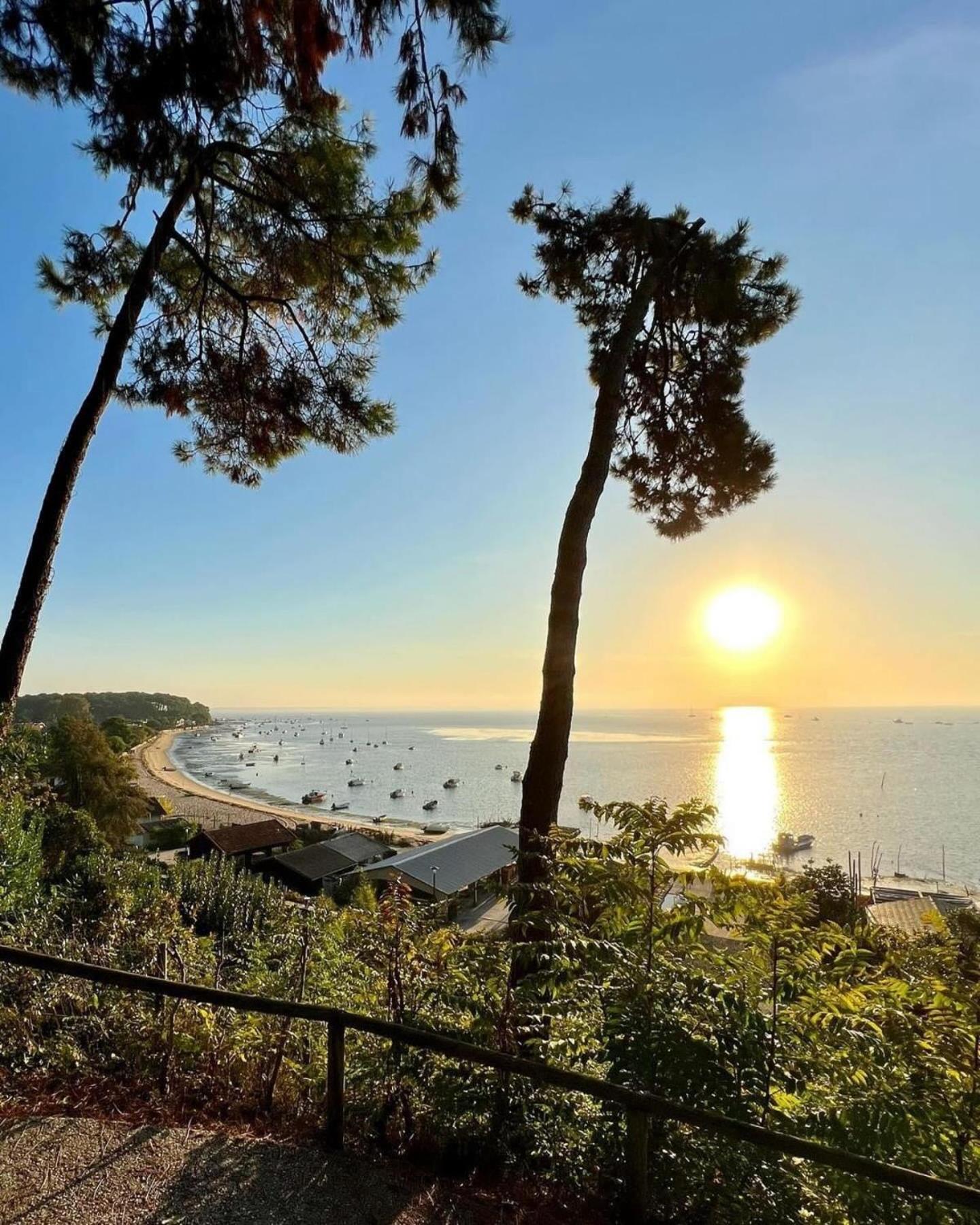 Cocon Entre Presqu'Ile Du Cap Ferret Et Plages Oceanes - Terrasse - 1 Velo Gratuit 阿雷斯 外观 照片