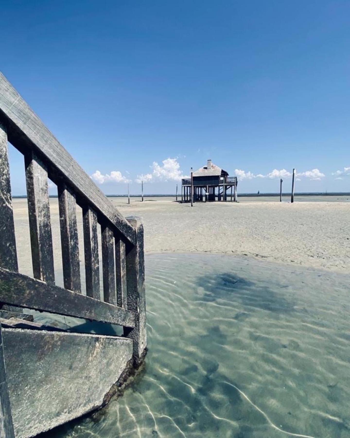Cocon Entre Presqu'Ile Du Cap Ferret Et Plages Oceanes - Terrasse - 1 Velo Gratuit 阿雷斯 外观 照片