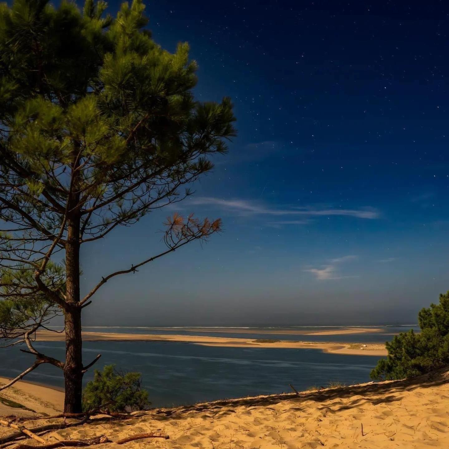 Cocon Entre Presqu'Ile Du Cap Ferret Et Plages Oceanes - Terrasse - 1 Velo Gratuit 阿雷斯 外观 照片