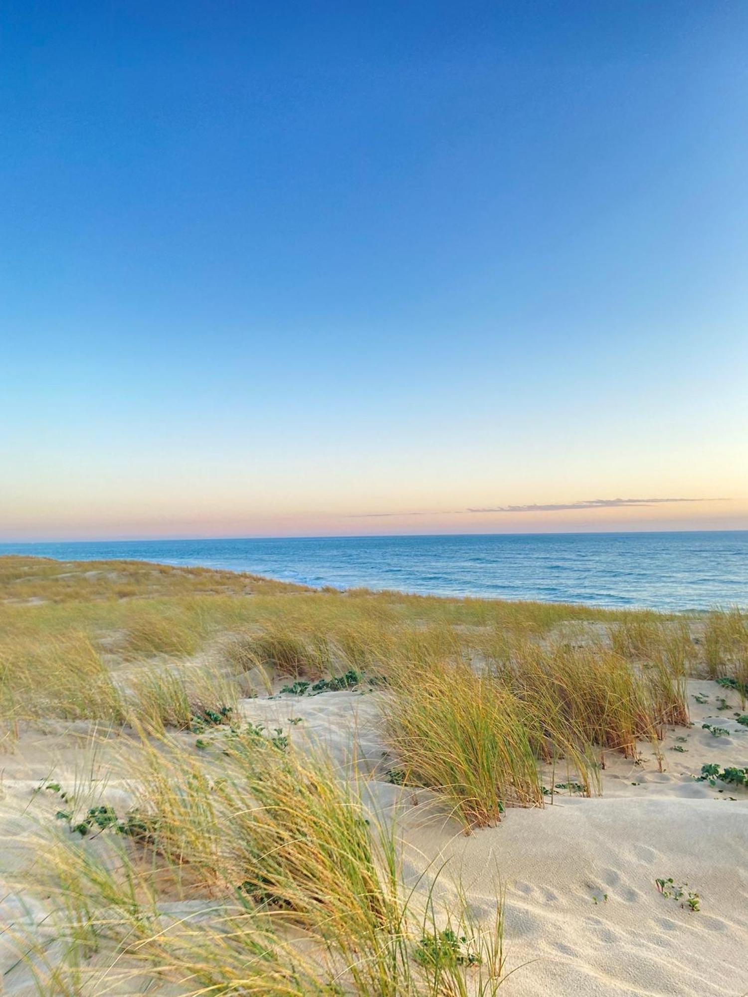 Cocon Entre Presqu'Ile Du Cap Ferret Et Plages Oceanes - Terrasse - 1 Velo Gratuit 阿雷斯 外观 照片
