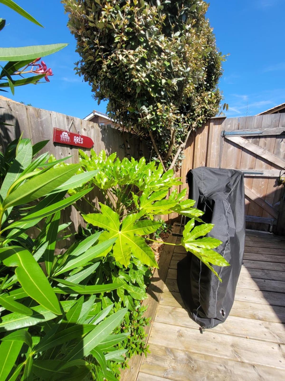 Cocon Entre Presqu'Ile Du Cap Ferret Et Plages Oceanes - Terrasse - 1 Velo Gratuit 阿雷斯 外观 照片